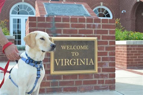 pet friendly hotels in hampton va|Best Pet Friendly Hotels in Hampton, VA